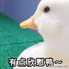 多地推迟返校！长春多所学校发布春季开学通知