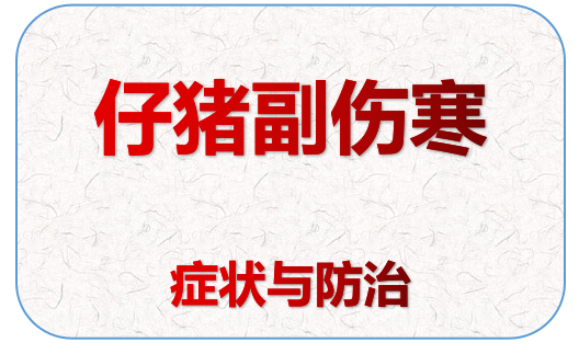 仔猪副伤寒,仔猪副伤寒的症状和治疗