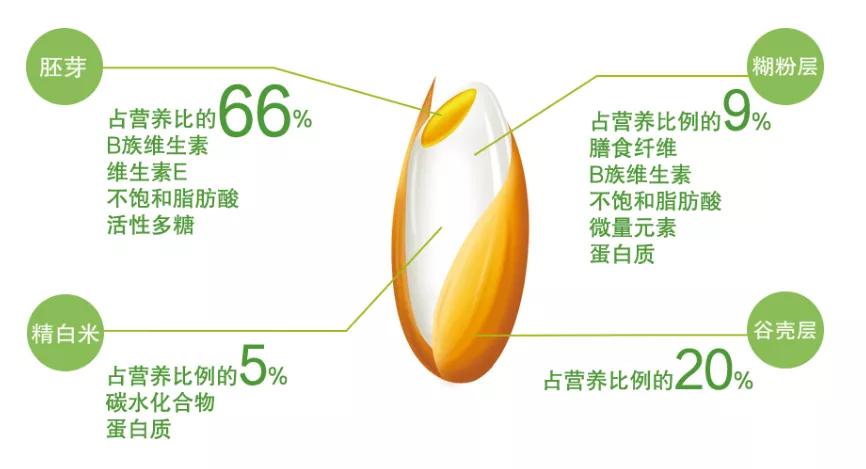 智能碾米机——科技改变生活方式——让新鲜成为永恒的主题