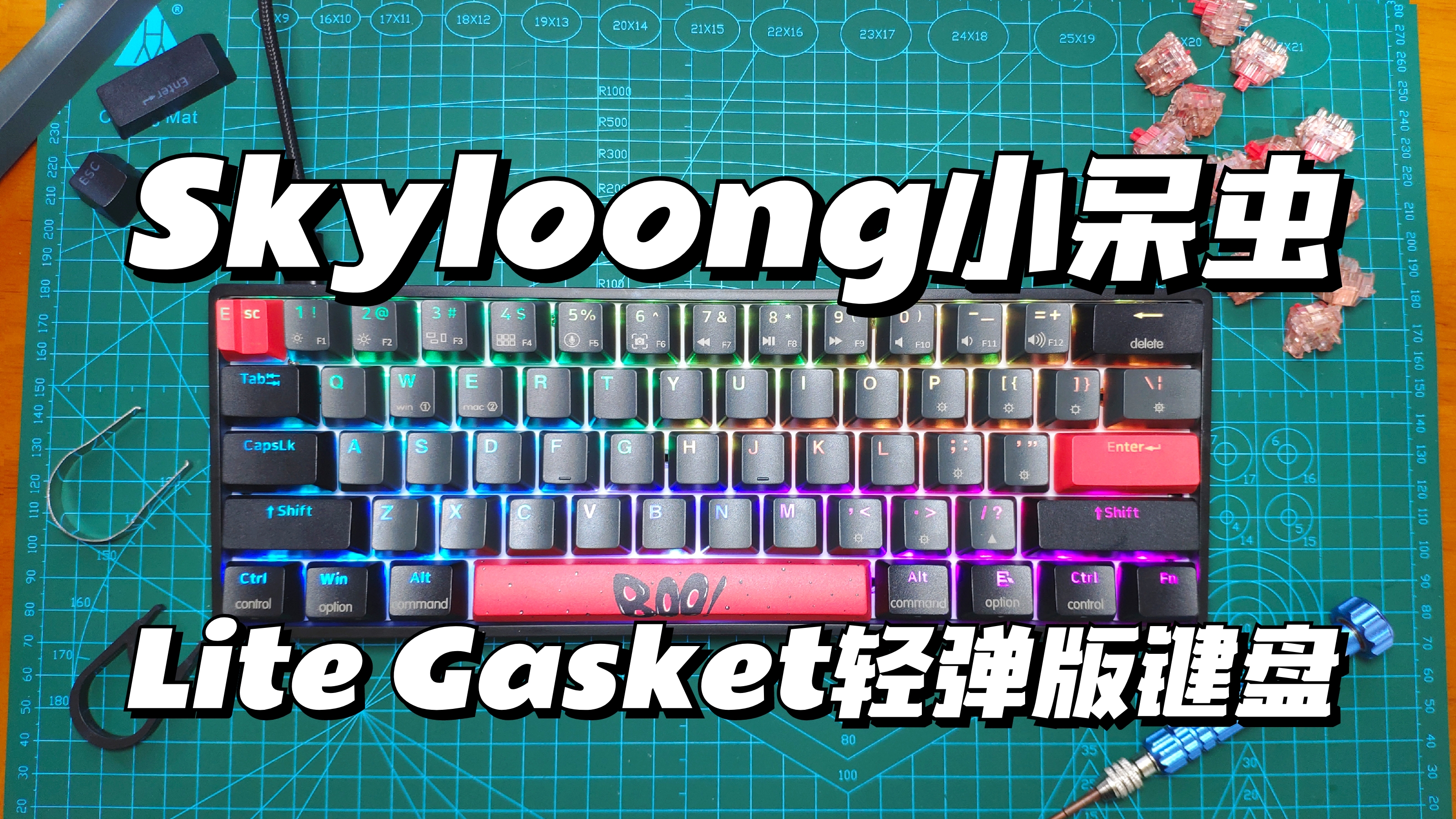 眼见为实？拆卸Skyloong小呆虫61键机械键盘，一探Lite Gasket结构