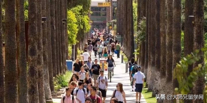 国内大一在读，可以转学到澳洲读本科吗？