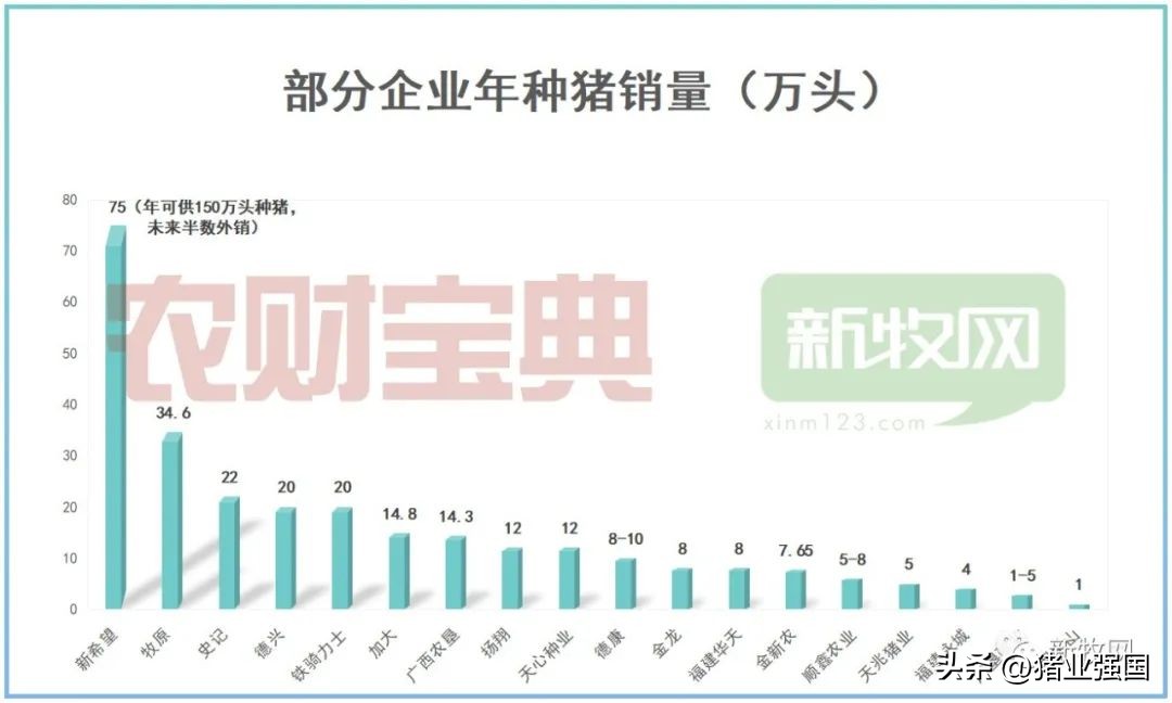 今日全国种猪价格，种猪价格今日猪价