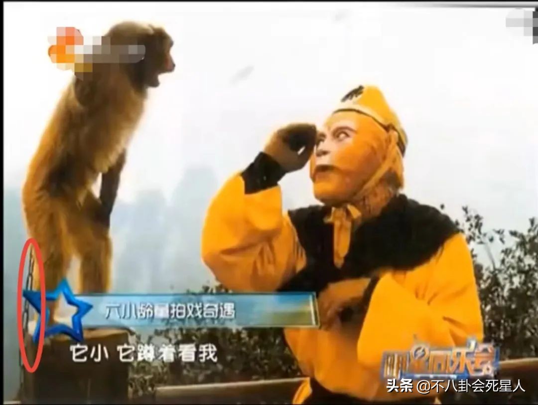 从没吃过肉、盗图炫富，7位明星撒谎却被拆穿打脸，假得要命