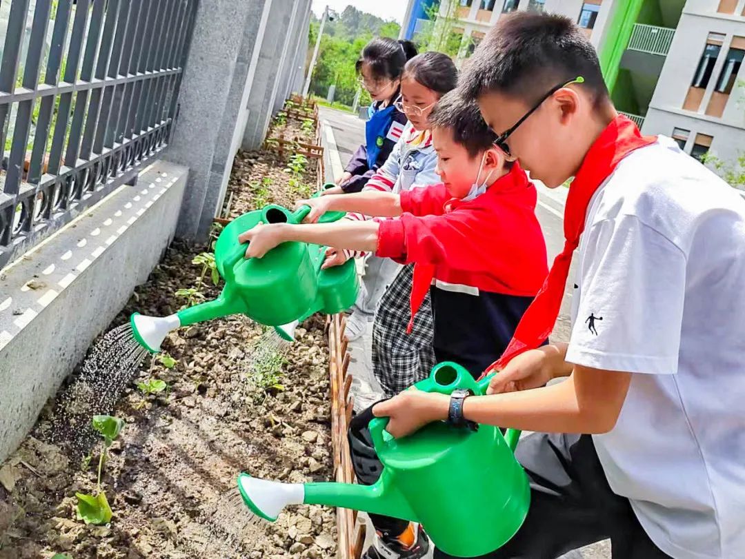 「责任教育 劳动课程」成都市双流区黄甲小学开发特色劳动种植课程