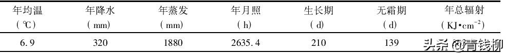 油牡丹的图片（了解油牡丹的播种育苗技术）