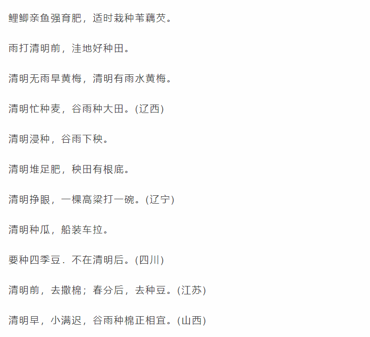 清明节快到了这些诗词谚语手抄报范文合集为孩子收藏