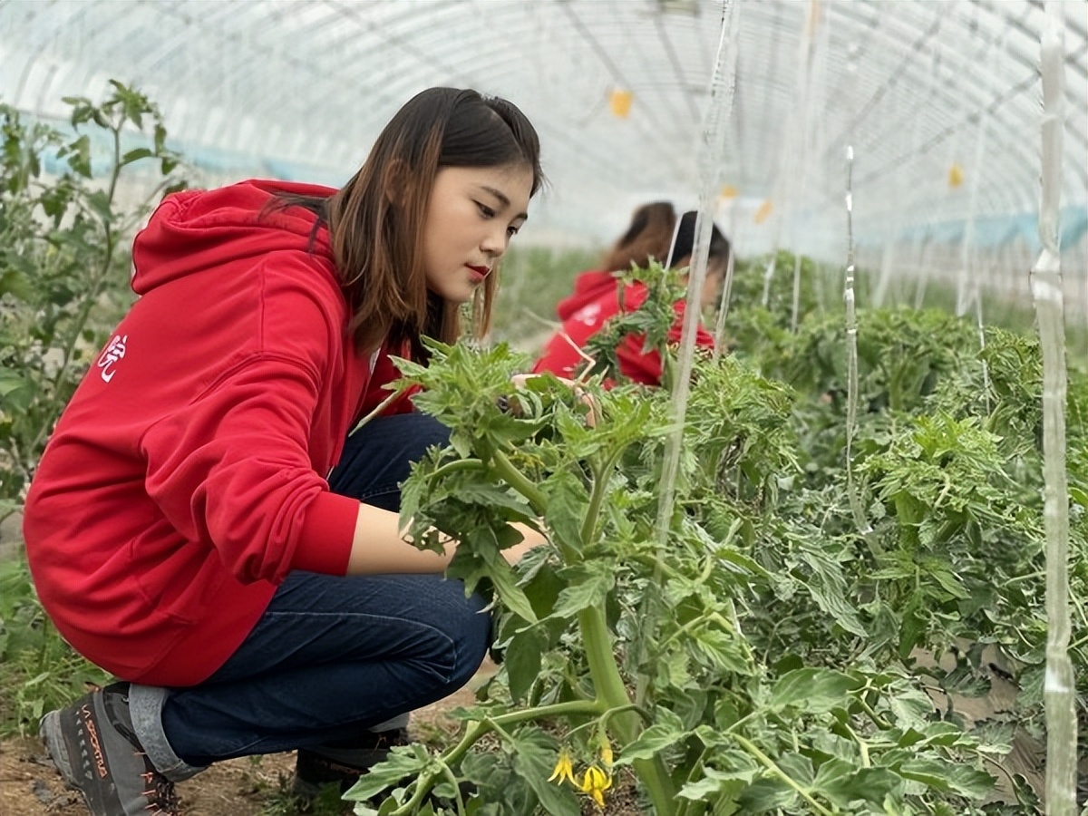 中国农业大学资源与环境学院（近期）