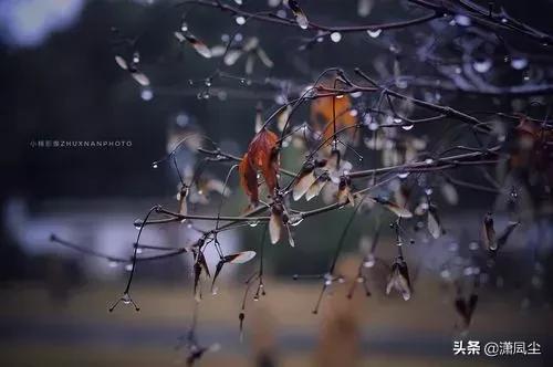 关于烟雨天的唯美短句