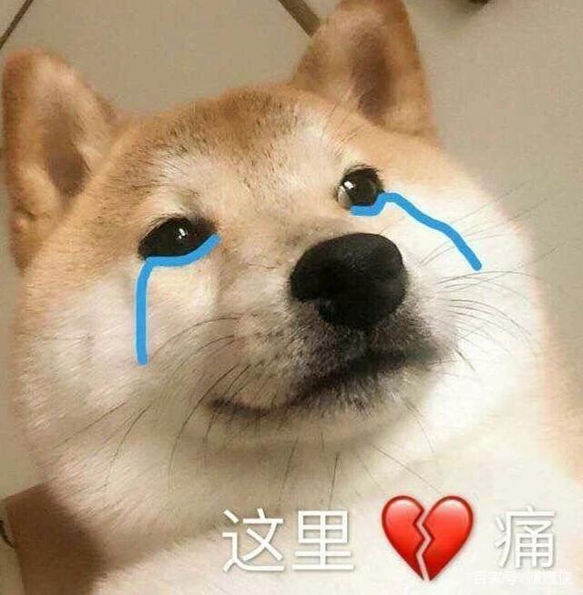 生肖狗的幸福婚配