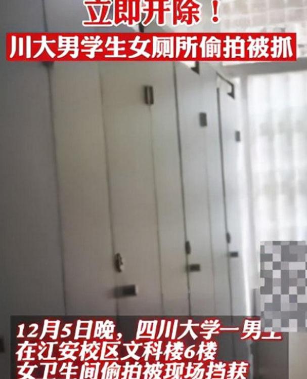 川大一男生女厕所偷拍，被开除学籍，10天内多所高校发生类似事件