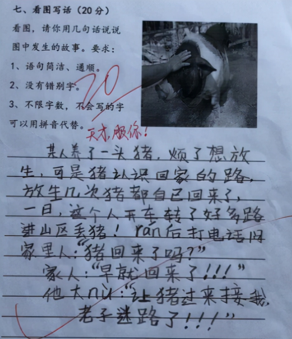 学校里的新鲜事作文（小学生作文）