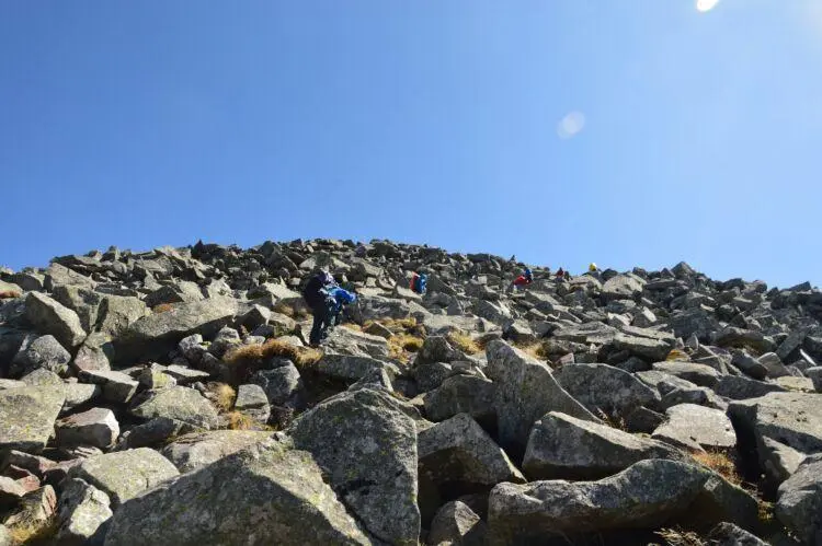 又有驴友擅闯秦岭禁地！95后女诗人遇难，5年死亡46人仍屡禁不止