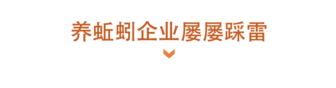 养蚯蚓为何屡次成为“挡箭牌”，被中央督察戳穿？