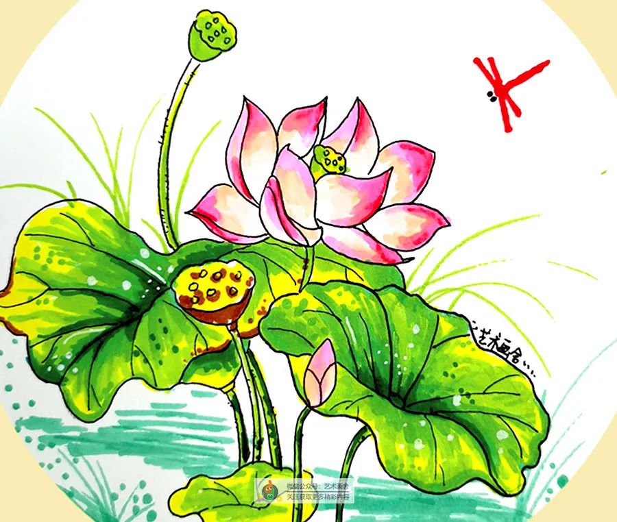 儿童画教程 | 线描画--夏日赏荷正当时