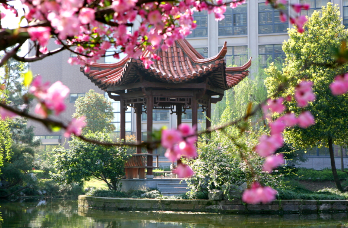 新一轮双一流评选，浙江工业大学希望渺茫，理由有两点