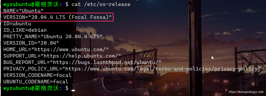 WSL 2 的安装过程（以及介绍）