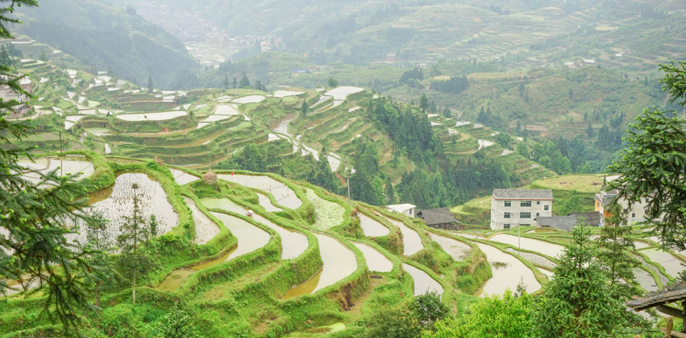 贵州肇兴侗寨（带你欣赏天下第一侗寨肇兴的美景）