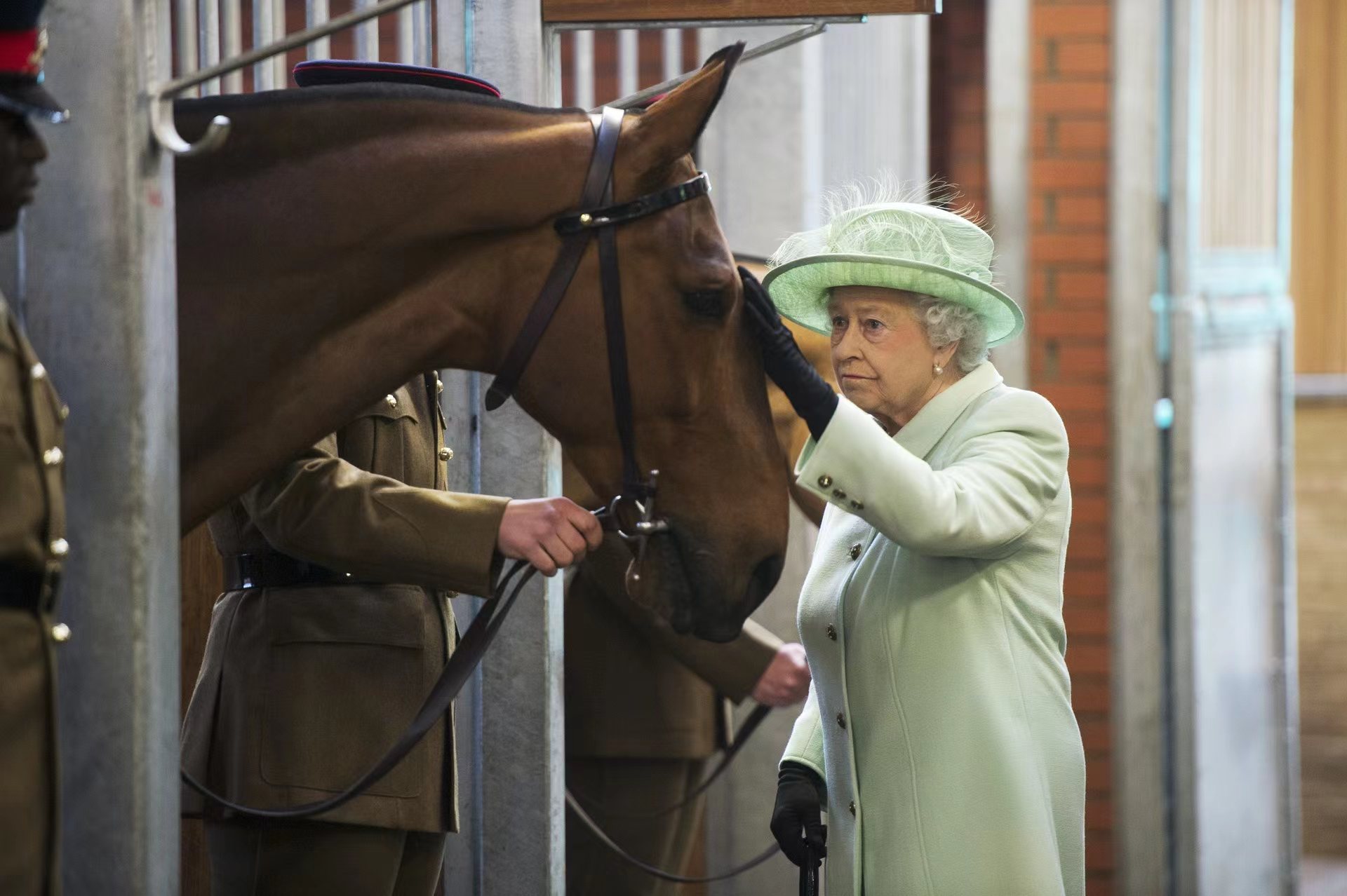 英国世界杯身价(英国女王离世，在位70年身家三十亿，靠赛马狂赚千万私房钱)