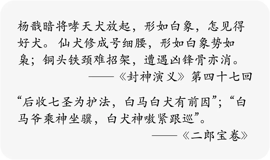 没错,哮天犬正是一条纯白色的中国细犬