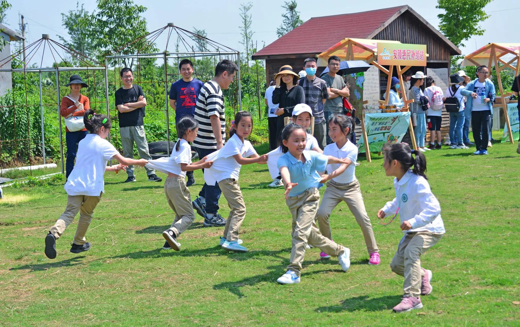 2022年，国家将大力扶持家庭农场，三种运营模式，助力农民赚钱