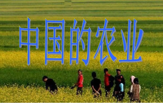 伟大新中国的农业发展史