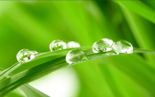 《薤露》：曹操最真挚的挽歌，一句诗说尽普遍的人性