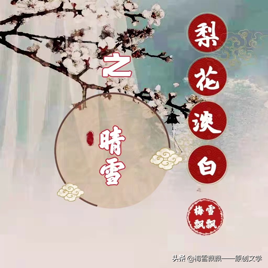 长篇当代军旅青春情感小说《梨花淡白之晴雪》（20）