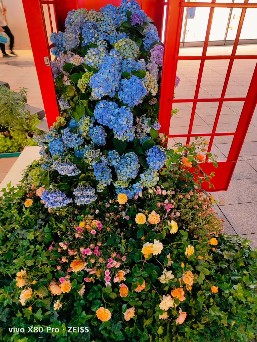 ?vivo X80 Pro测评：全系“升杯”，享受旗舰影像体验