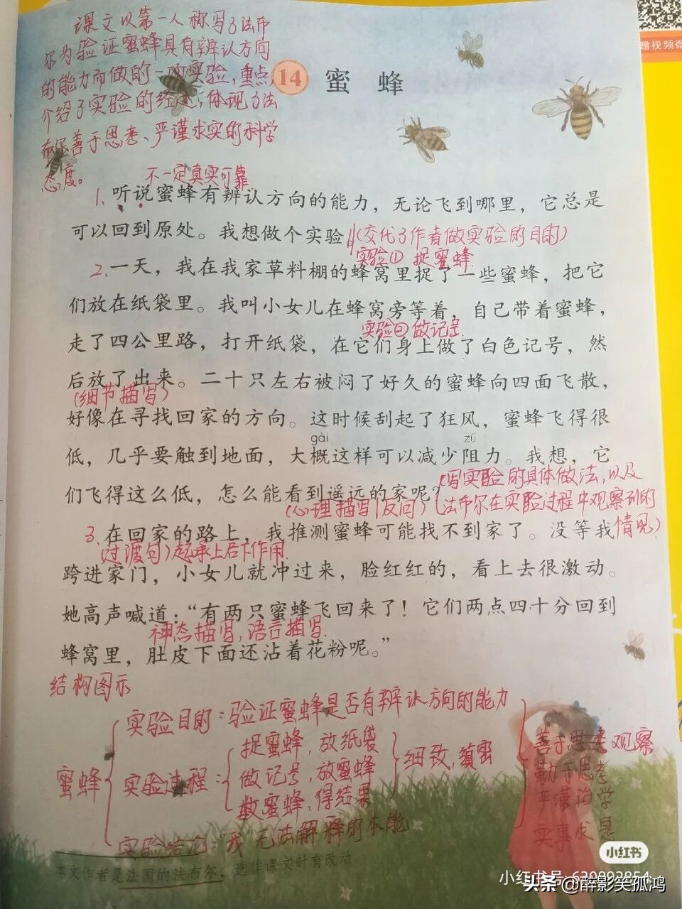 三年级语文下册第4单元课堂笔记，详细整理课文知识点