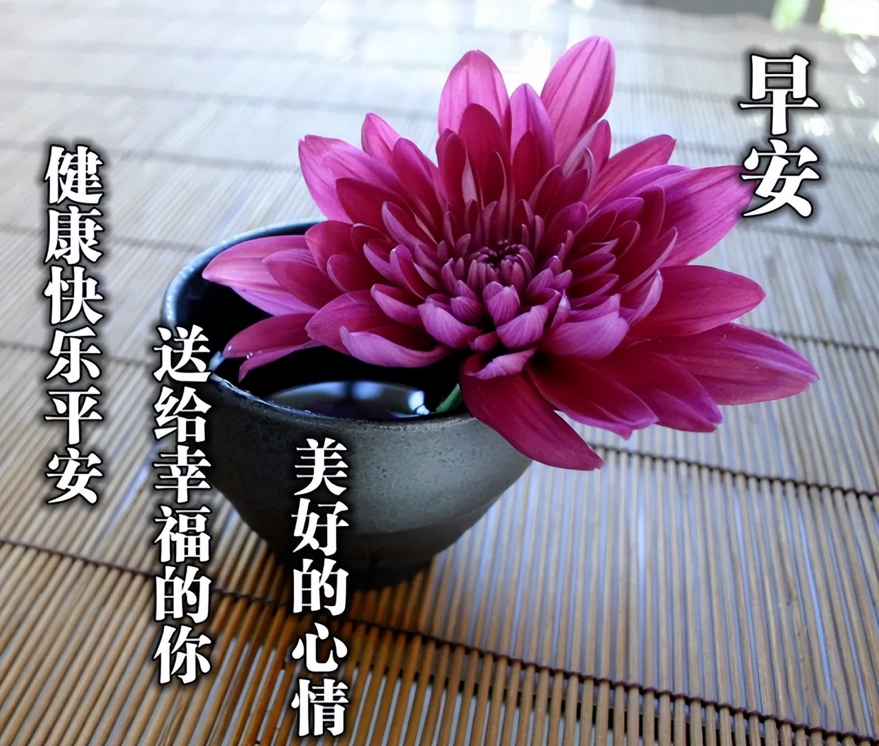 关于晨光的说说短语