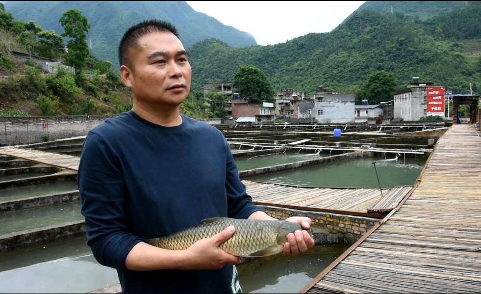 重庆巫山：口感鲜美细嫩的新鱼品——麦芽鱼