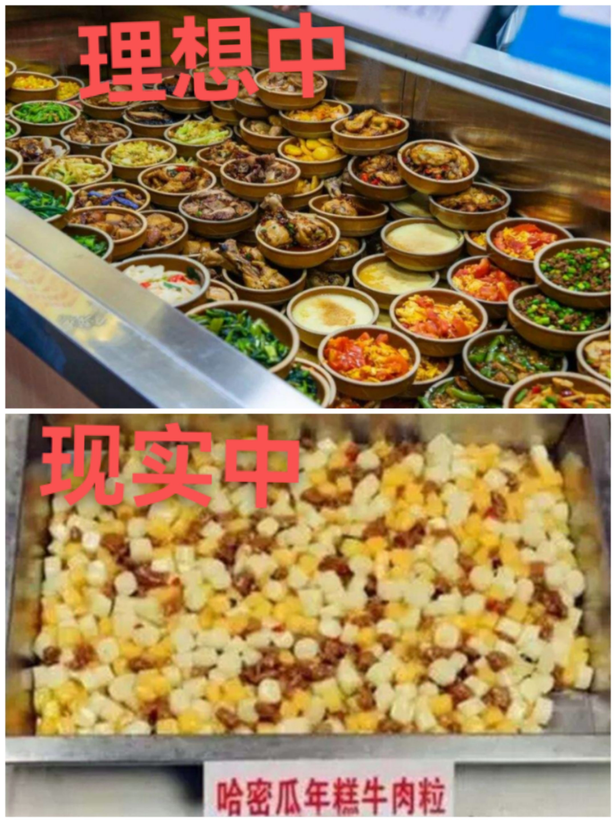 理想中的大学和实际上的大学，差得不止一点点，看完内心五味杂陈