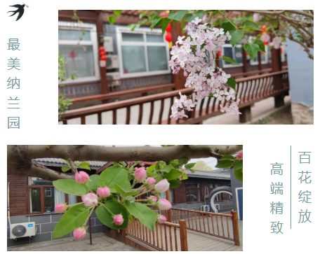 遇见春日，优雅享老！封闭期间的养老生活实录-泰和养老纳兰园
