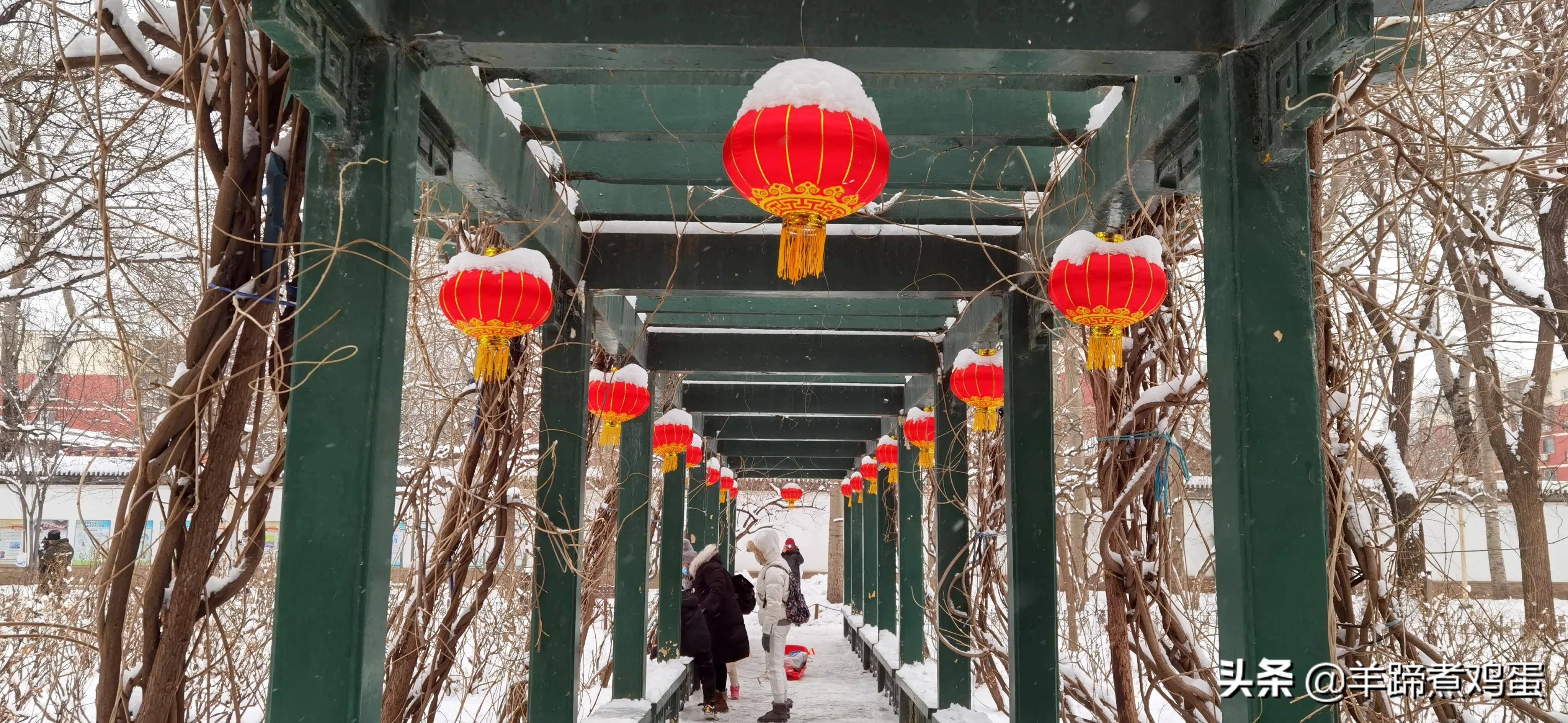 难览观园全画景雪覆腊梅一隅香——踏雪寻游北京大观园