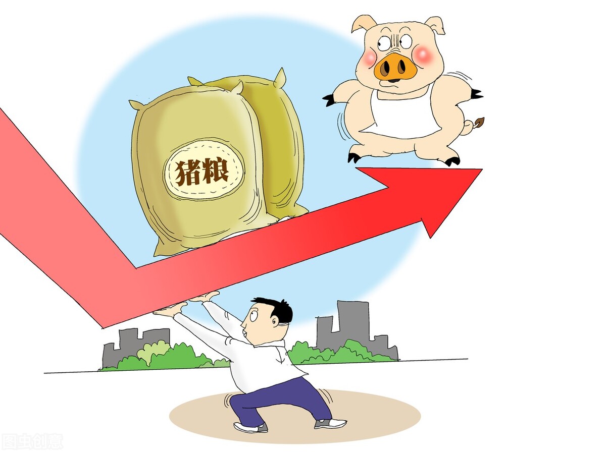 9月25~29日猪价预测