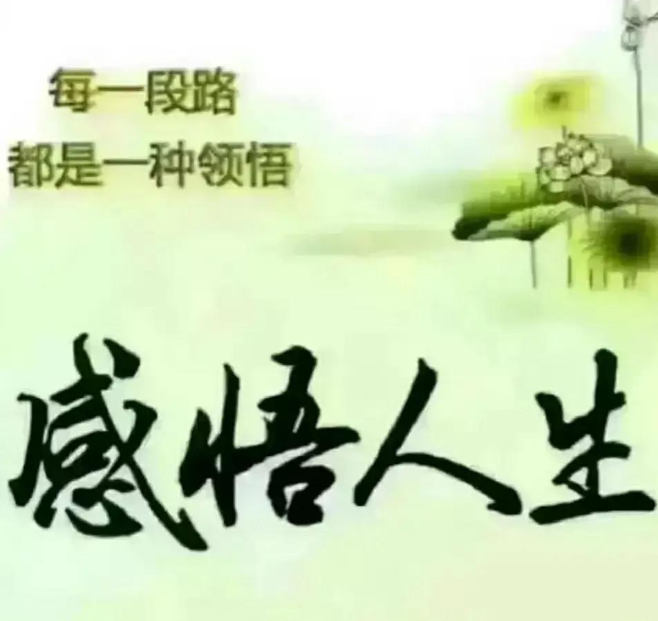 人生最曼妙的风景,是内心的淡定与从容