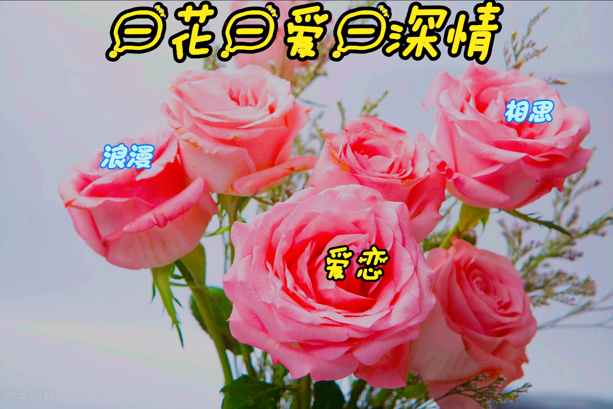 一花一世界，一爱一深情——绽放心中的永恒之美