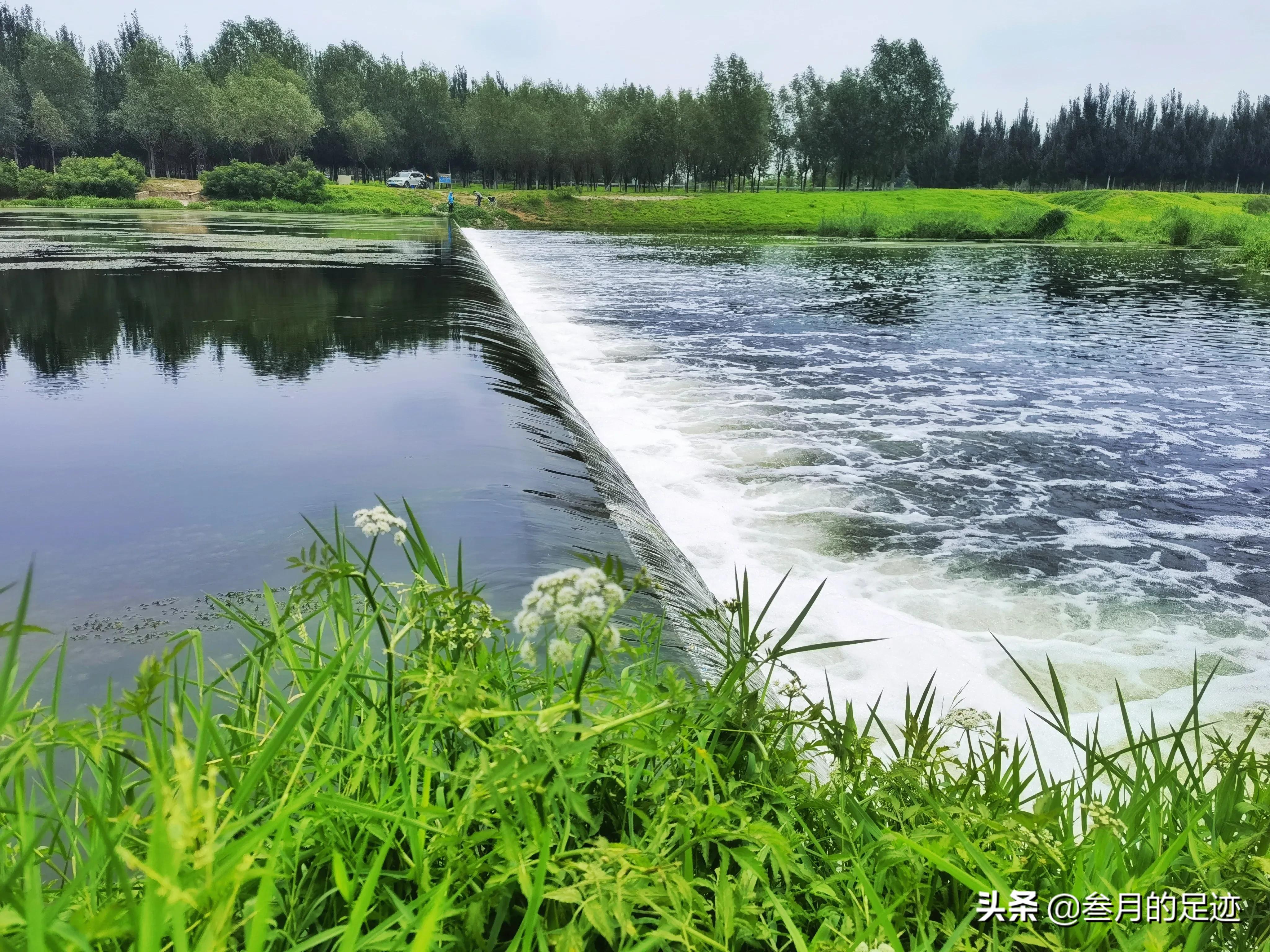 草地,森林,美丽的河流,露营遛娃,北京房山夏日休闲好去处
