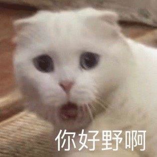 大学里对假期态度的转变