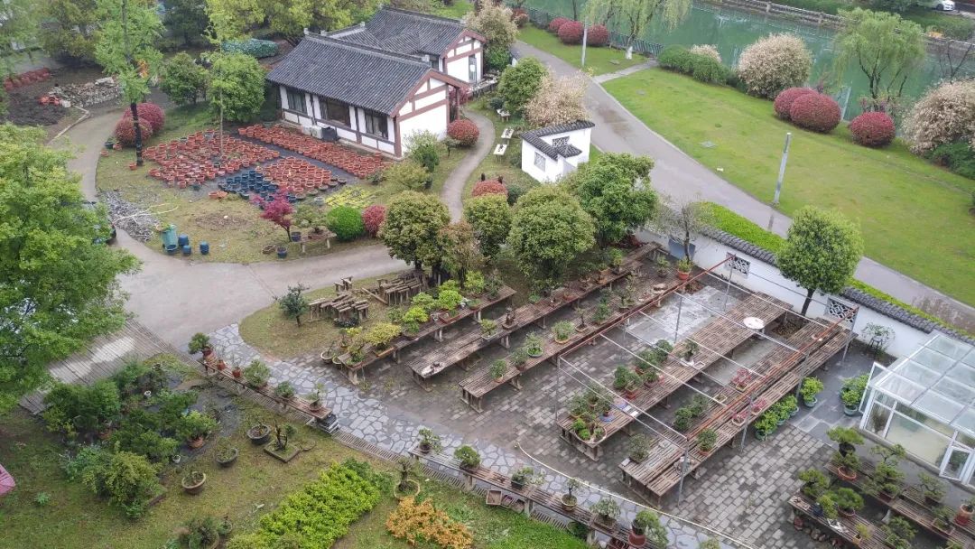 南京，除了钟山风景区，我还去了这些地方