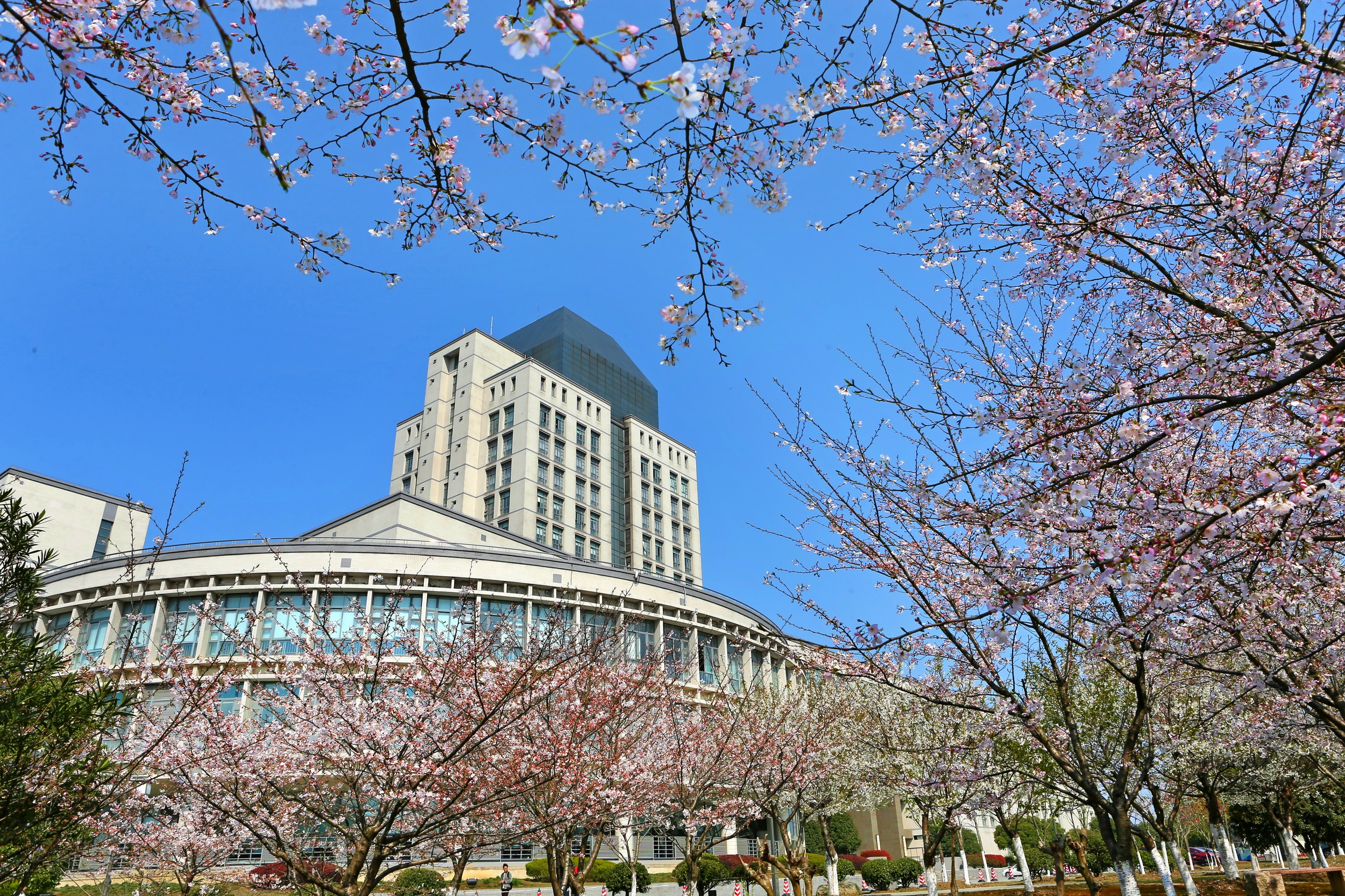 校考成绩公布！江南大学16省校考14省统考，2022年录取需多少分？