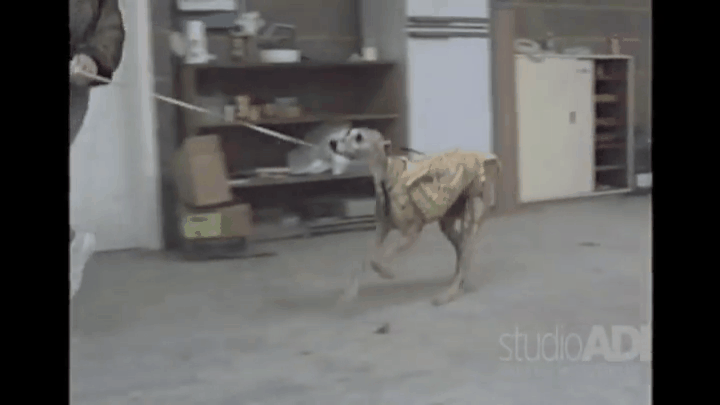 罕见好莱坞大片幕后：不用电脑特效，也能做出吊炸天的效果