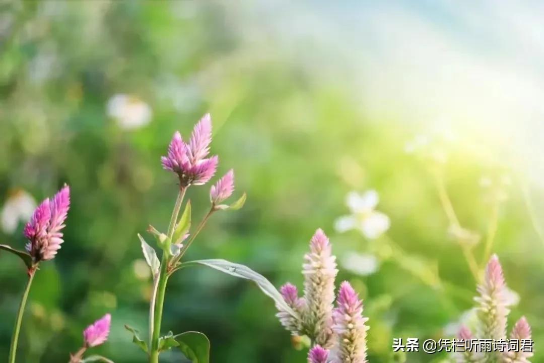 ＃读书＃管理分享——员工激励：《一天一根胡萝卜》4月17日