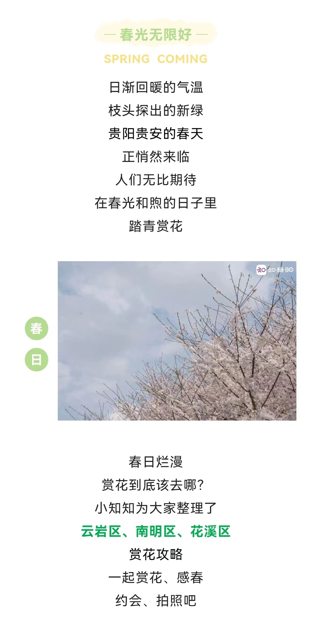 爽爽贵阳 繁花似锦｜踏春赏花去！在云岩、南明、花溪遇见春天
