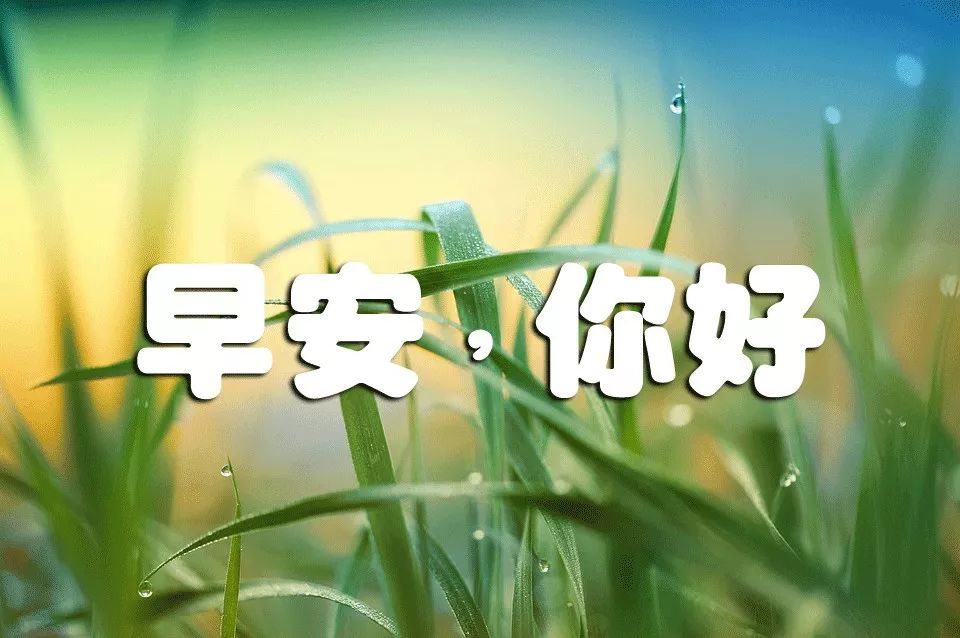 周日早上好问候语，平安吉祥，一声友情的问候，一份平淡的祝福