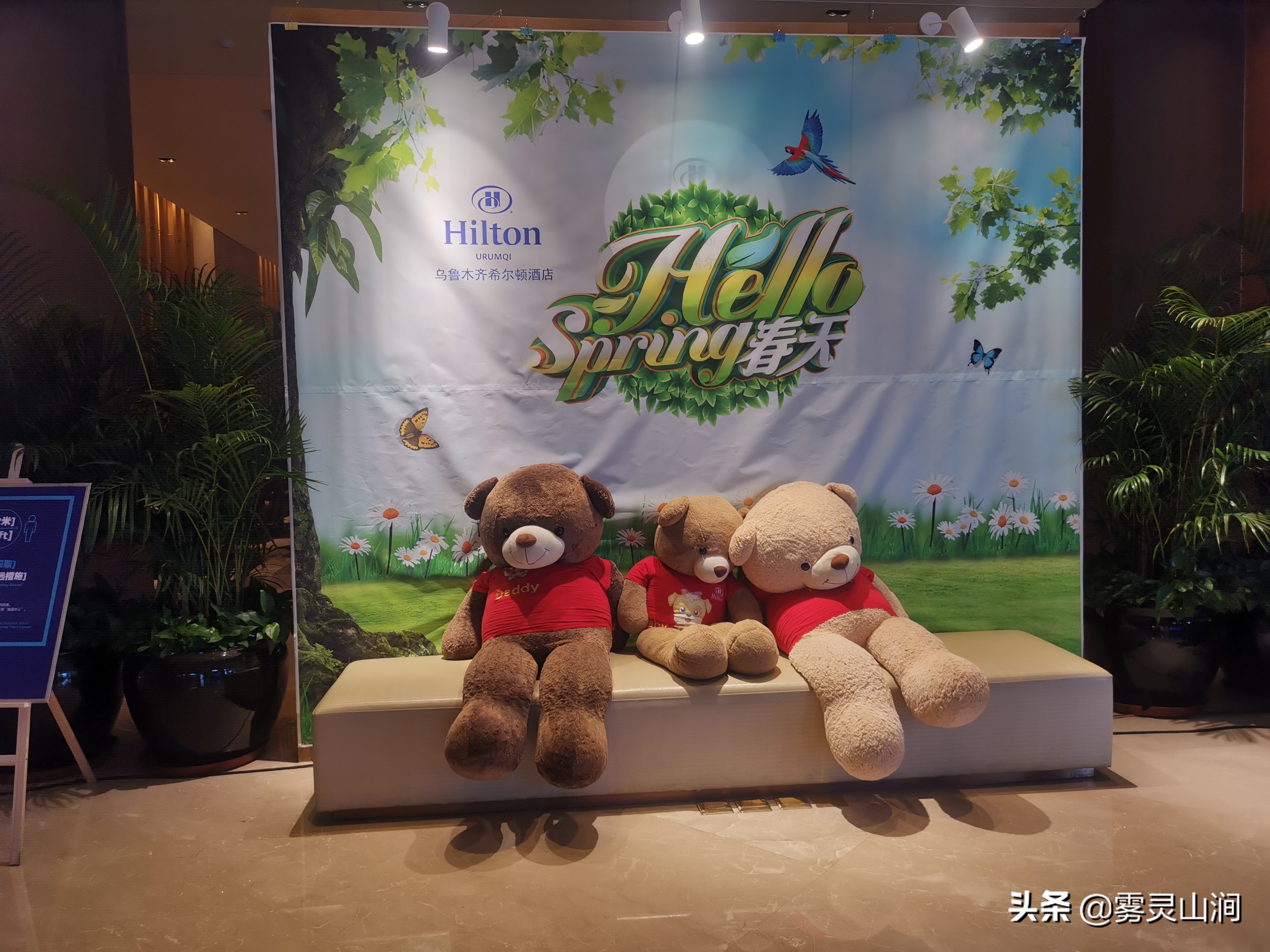 新疆乌鲁木齐市体验最好的五星级酒店—乌鲁木齐希尔顿酒店