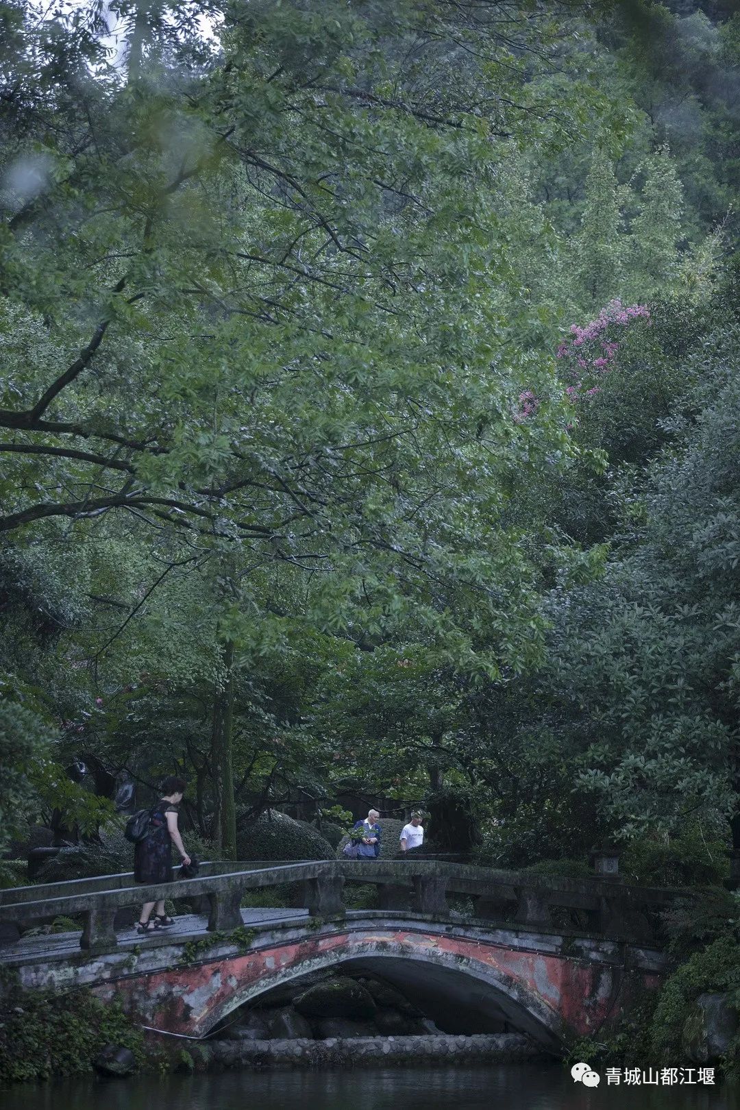 都江堰的六月！烟雨入古堰，山水云雾起......成都出发1h抵达的23℃避暑胜地！这个夏天一定要这样玩～