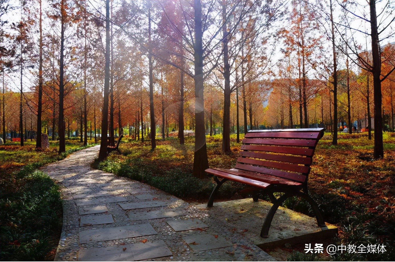 西南科大计算机科学与技术学院院长范勇：致力培养卓越工程型人才