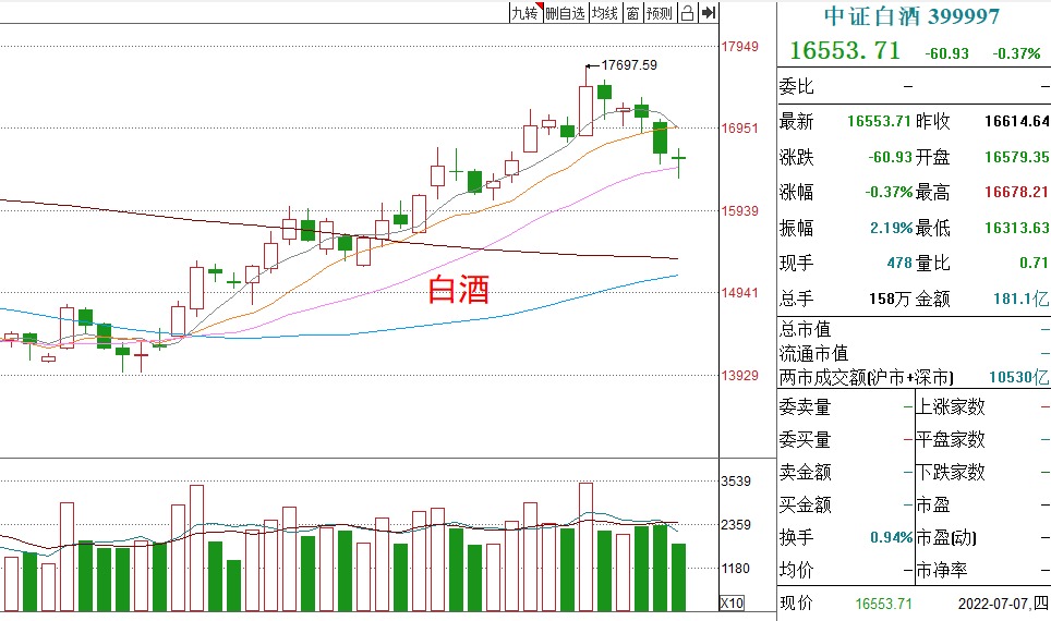 基金收评丨新能源车、光伏上涨，加仓还是减仓？