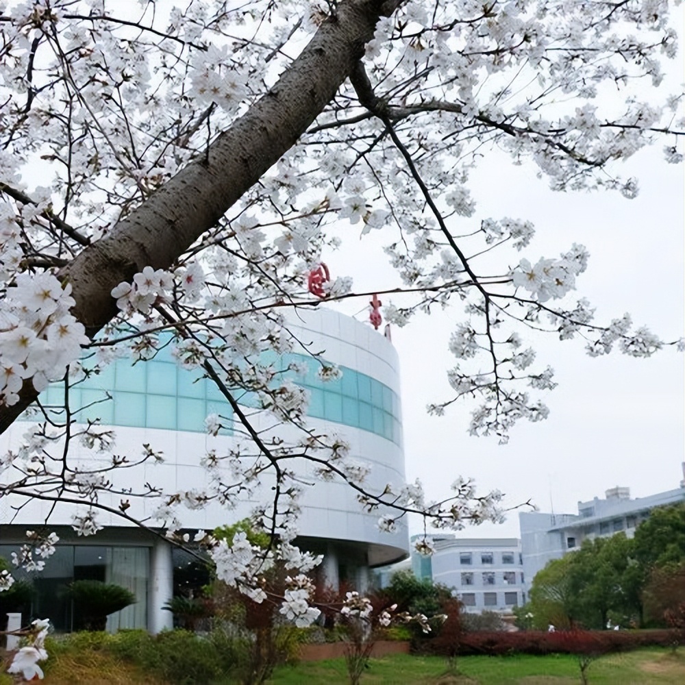 “钱景”广阔！湖北这所大学：8个专业跻身“高月薪”榜单